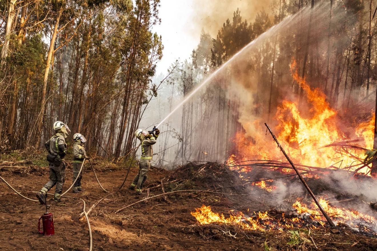 三名消防员拿着水管将水引向森林火灾。