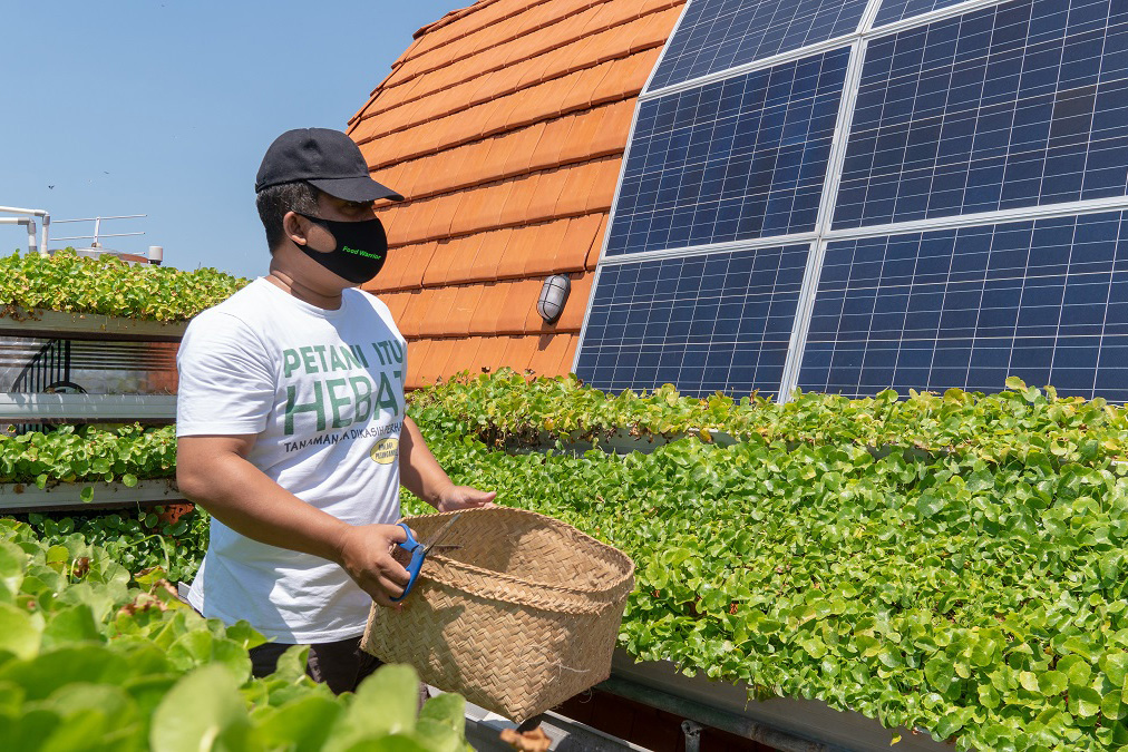 A man holds a basket in front of a vertical garden and solar panels.