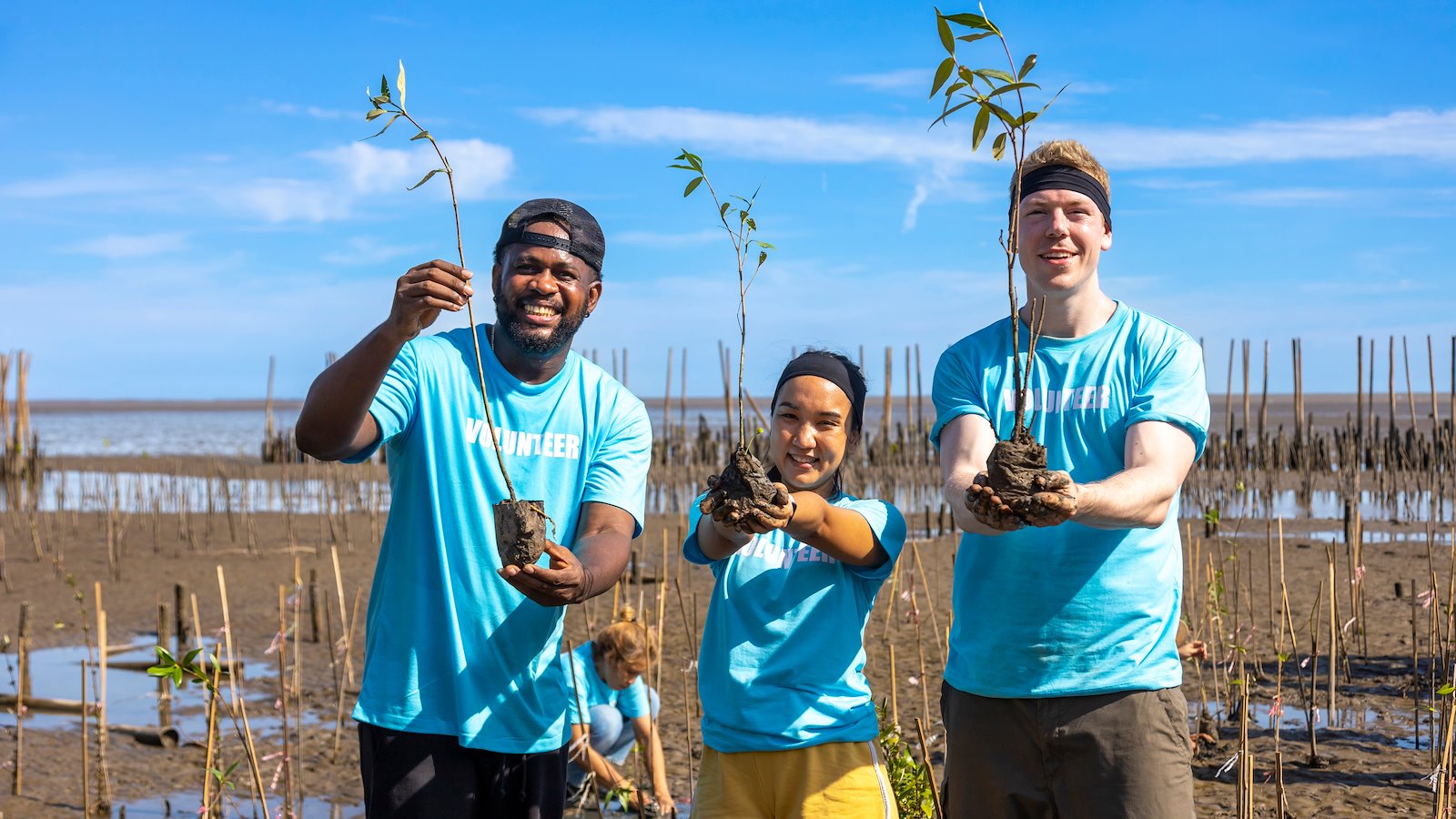 Volunteers hold up saplings