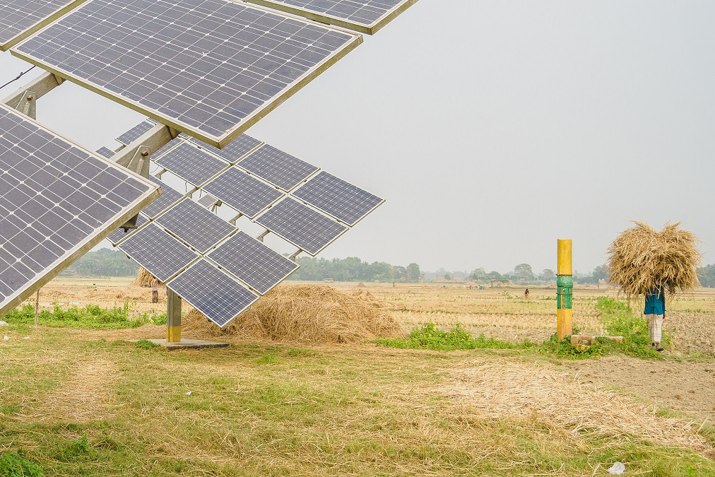 Someone carrying a stack of hay on their head walks past a solar irrigation pumps in Bangladesh.