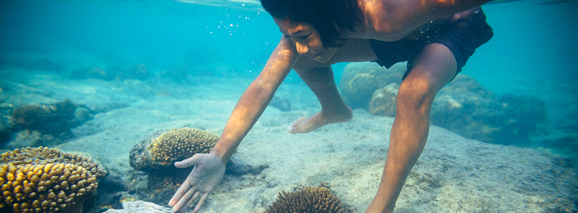 9岁的卡里奥潜水游到一个巨蚌壳边。