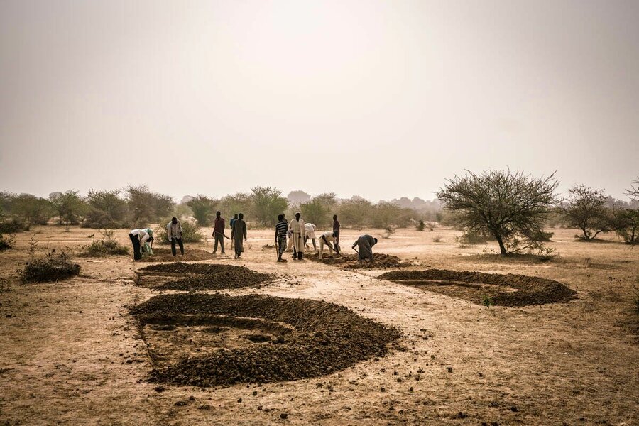 Several men with shovels digging half moons in Niger desert