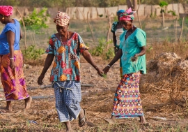 Women in field in Senegal.