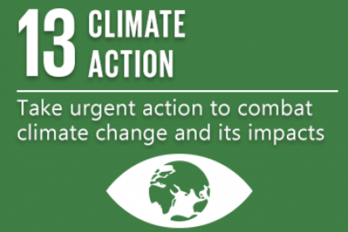 SDG Goal 13: Climate Action