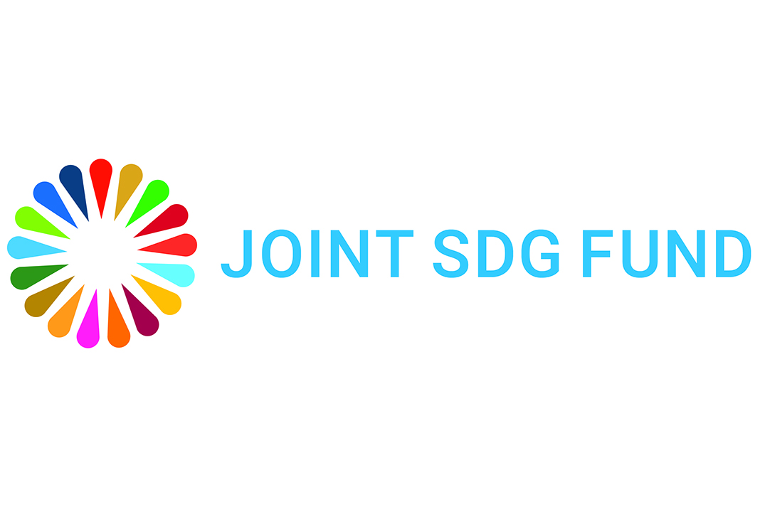 Joint SDG Fund